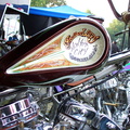 DCP_0967